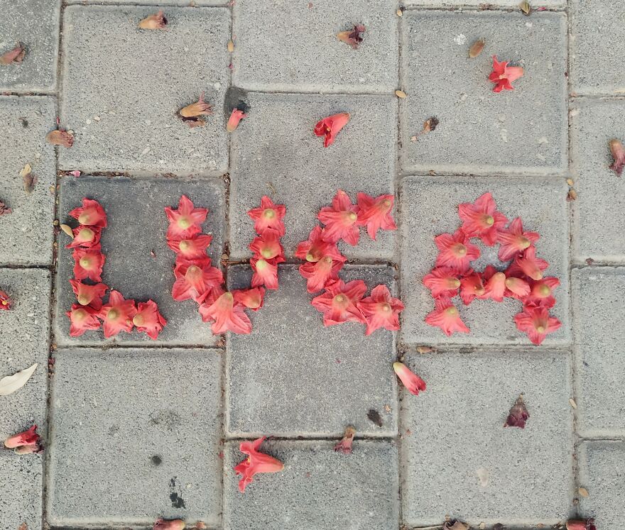 I Create "Luca"S In A Memory Of My Best Friend Who Died In An Aircrash At The Age Of 33.