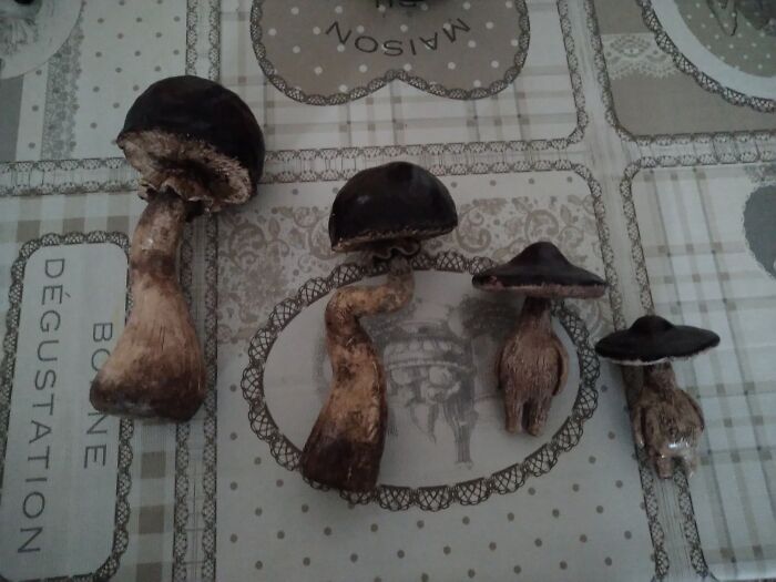 Lol Mushies Made Out Of Clay