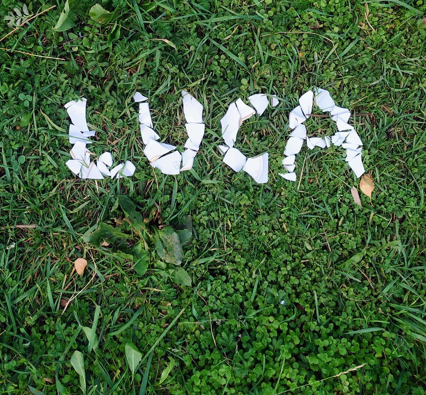 I Create "Luca"S In A Memory Of My Best Friend Who Died In An Aircrash At The Age Of 33.