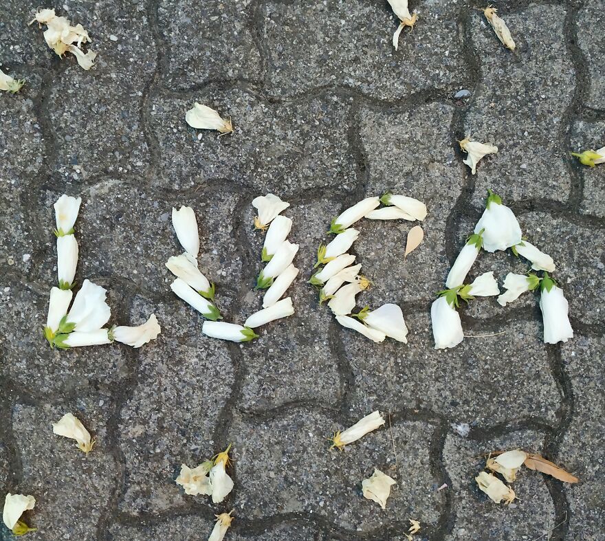 I Create "Luca"S In A Memory Of My Best Friend Who Died In An Aircrash At The Age Of 33.
