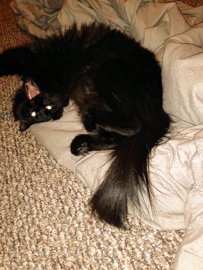 Wakin' Up And Meanin' It!