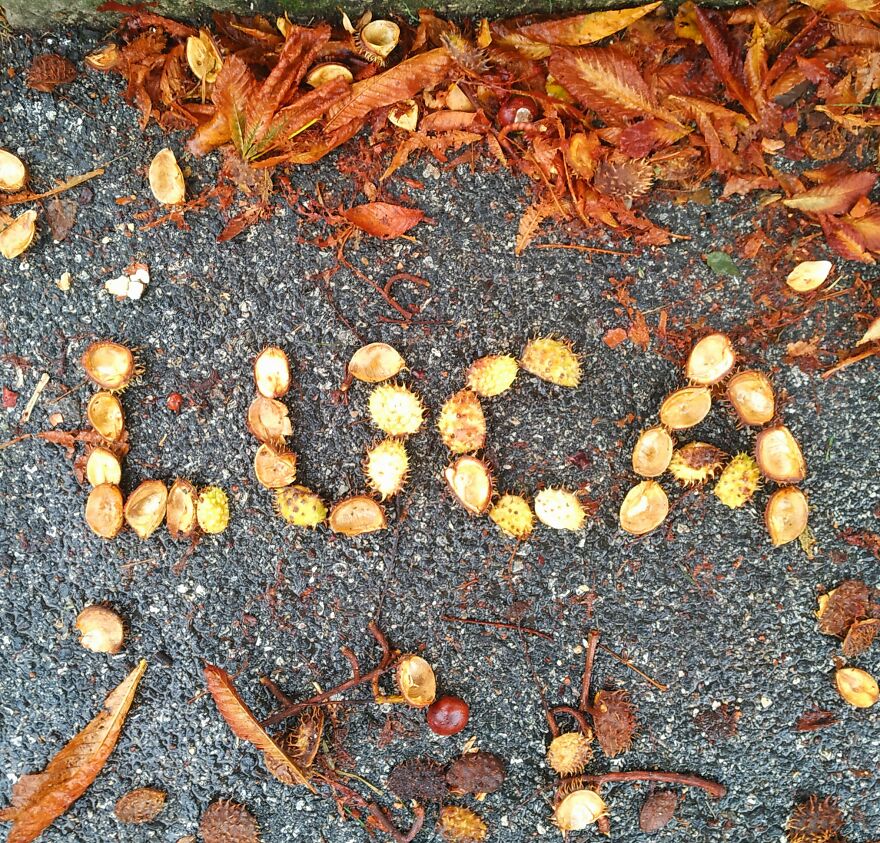 I Create "Luca"S In A Memory Of My Best Friend Who Died In An Aircrash At The Age Of 33.