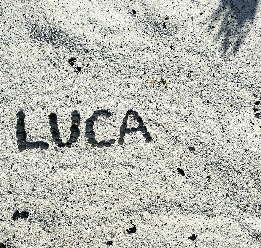 I Create "Luca"S In A Memory Of My Best Friend Who Died In An Aircrash At The Age Of 33.