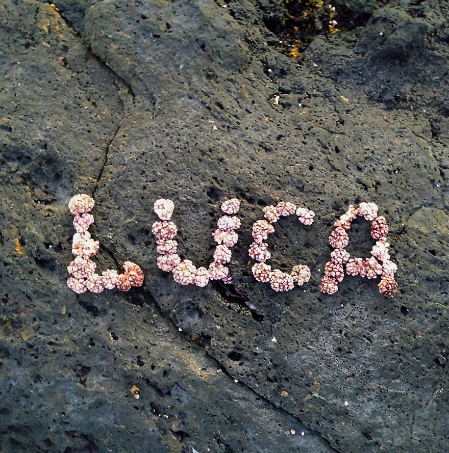 I Create "Luca"S In A Memory Of My Best Friend Who Died In An Aircrash At The Age Of 33.