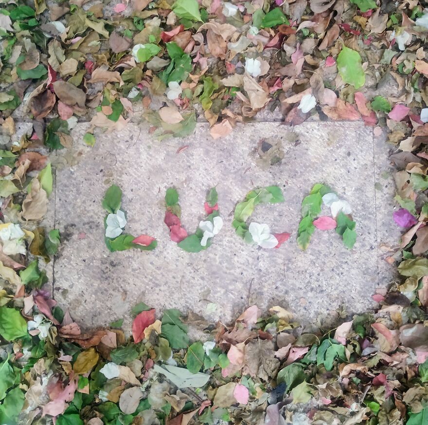 I Create "Luca"S In A Memory Of My Best Friend Who Died In An Aircrash At The Age Of 33.