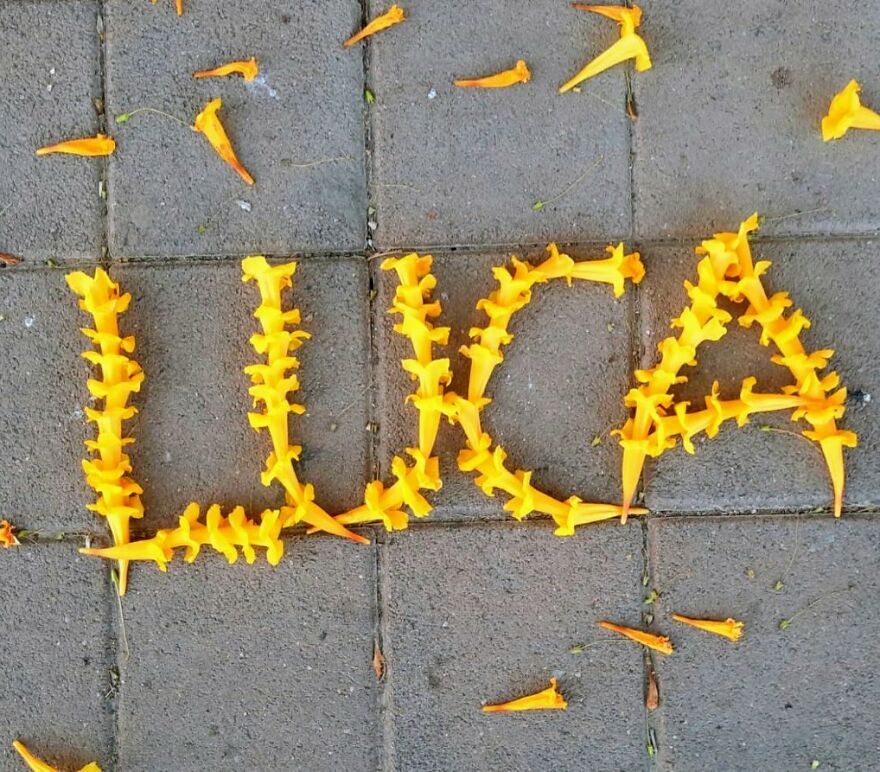 I Create "Luca"S In A Memory Of My Best Friend Who Died In An Aircrash At The Age Of 33.
