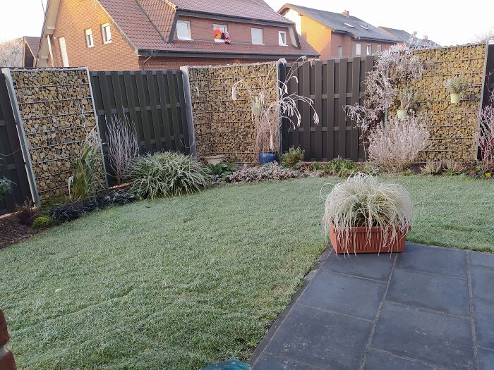 22nd December, 2021. It Was Pretty Cold Back Then, And Everything Had A Beautiful Icing Crust On It