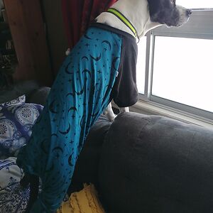 2keeplifesimple avatar