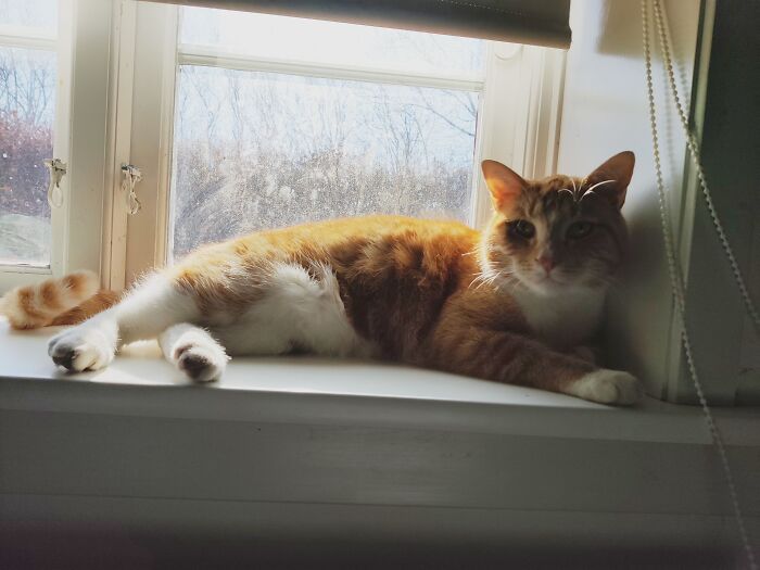 You Shine More Than The Sun, You Know?