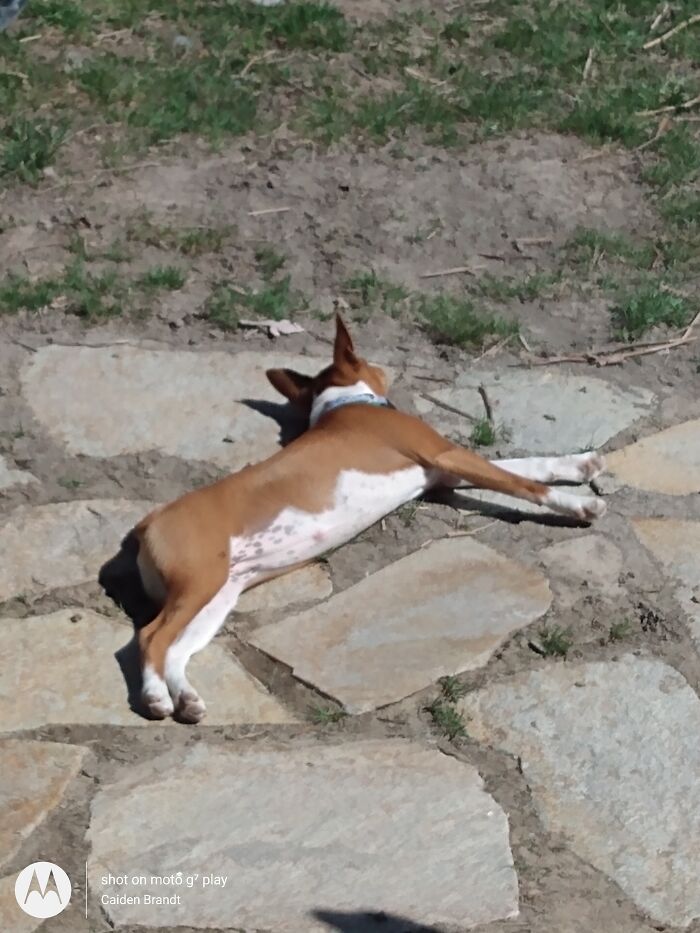 Time To Bathe In The Sun.