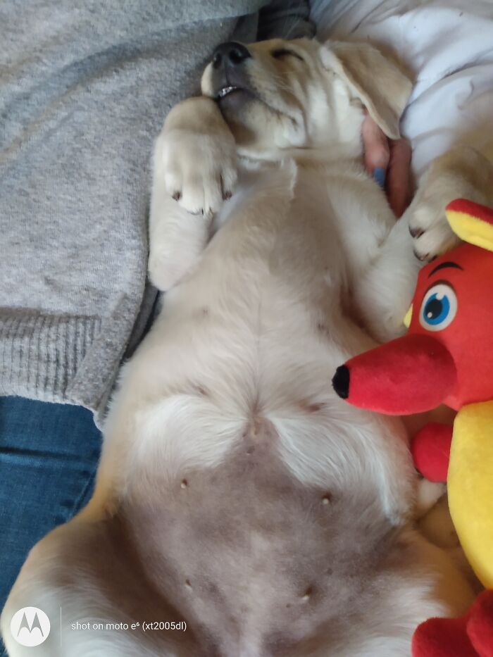 My Baby Bella.... Sleeping Angel