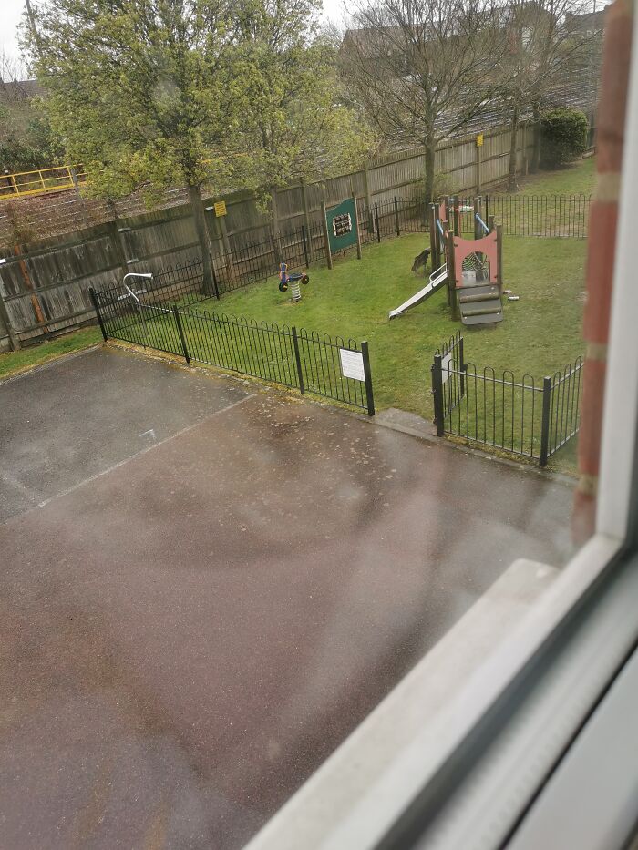 I Have A Park Outside My House!