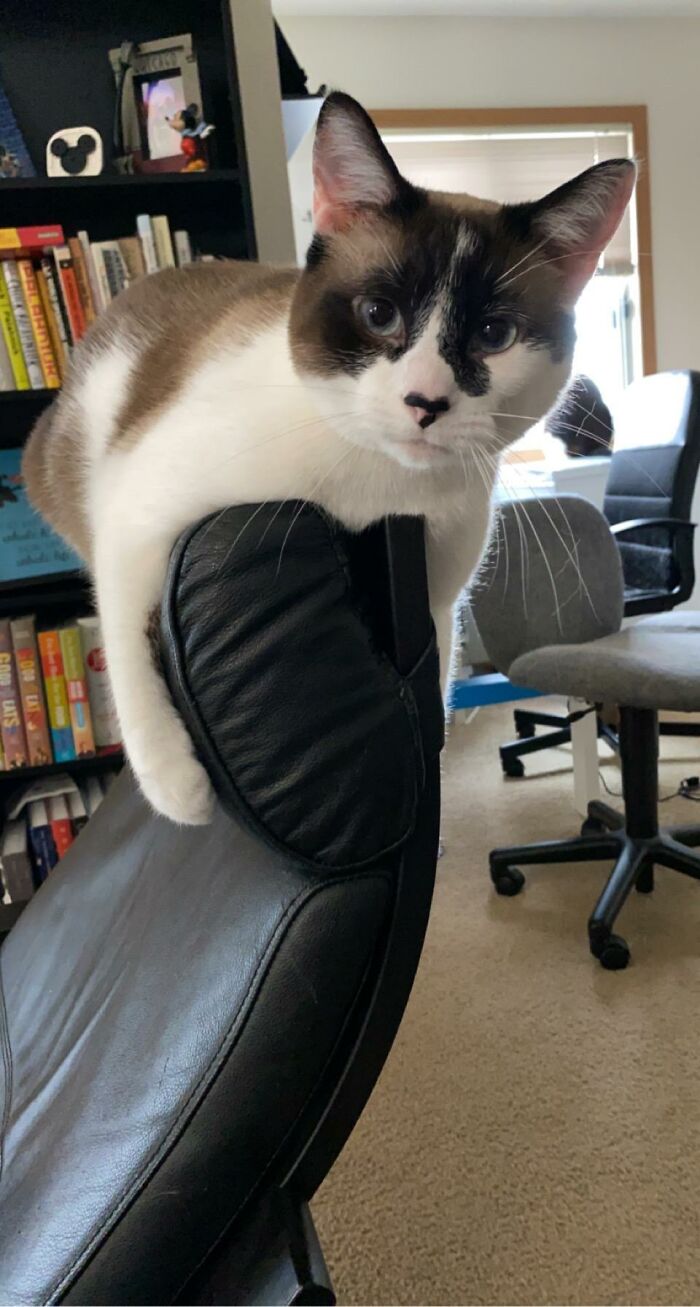 Kihei, I Think He's Almost 2.