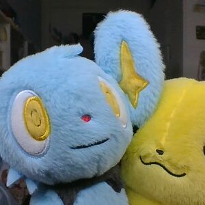 joyallisontung avatar