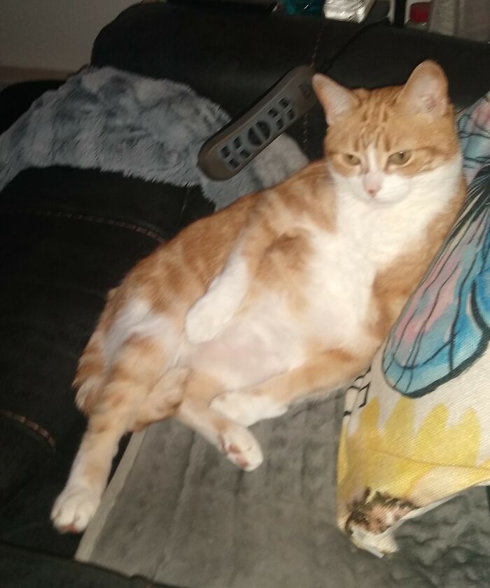 I'm Not Sure If She Realizes She Not A Human!