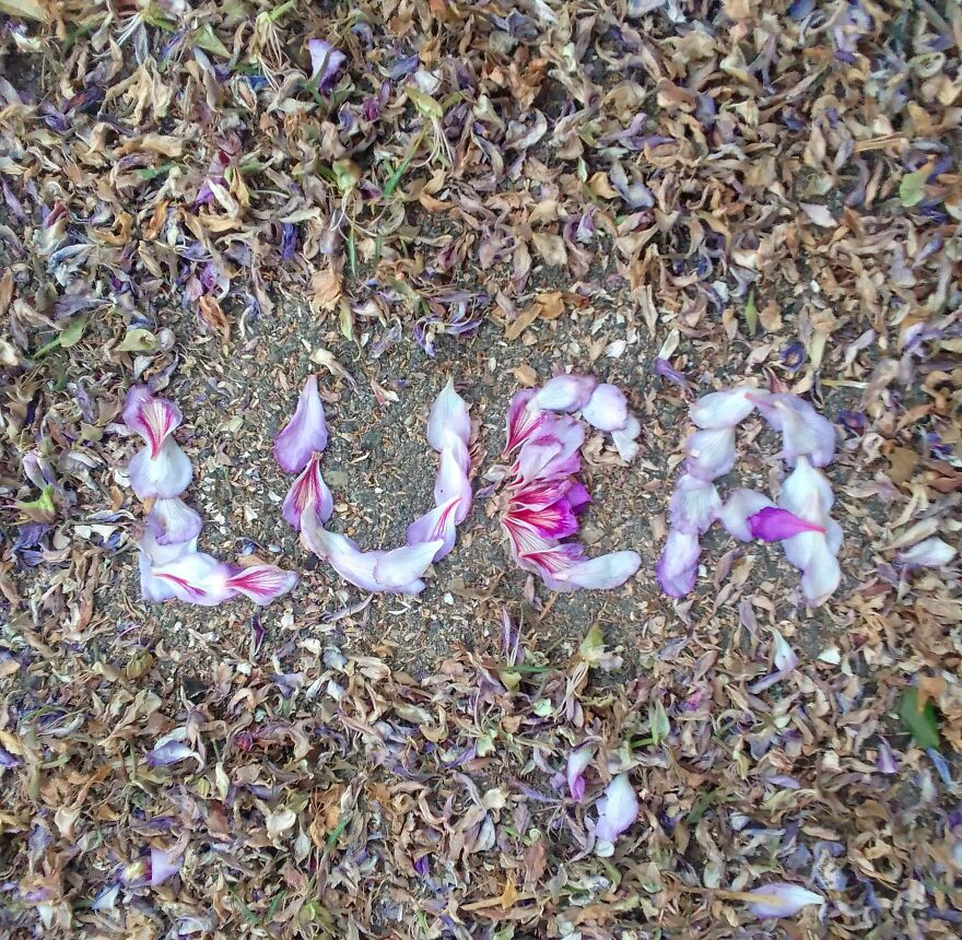 I Create "Luca"S In A Memory Of My Best Friend Who Died In An Aircrash At The Age Of 33.