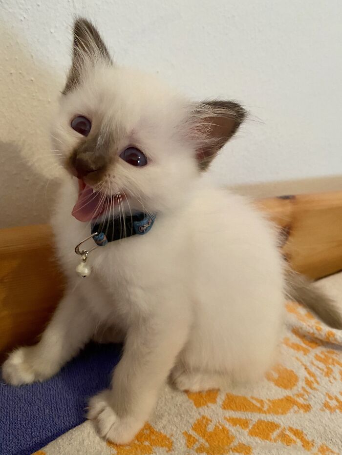 My Sweet Little Dreamy Who Died Unexpectedly When He Was 6 Months And 3 Days Old