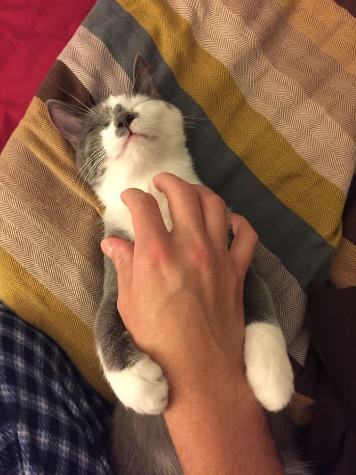 This Miles. Rip Buddy, I Miss You Every Day....