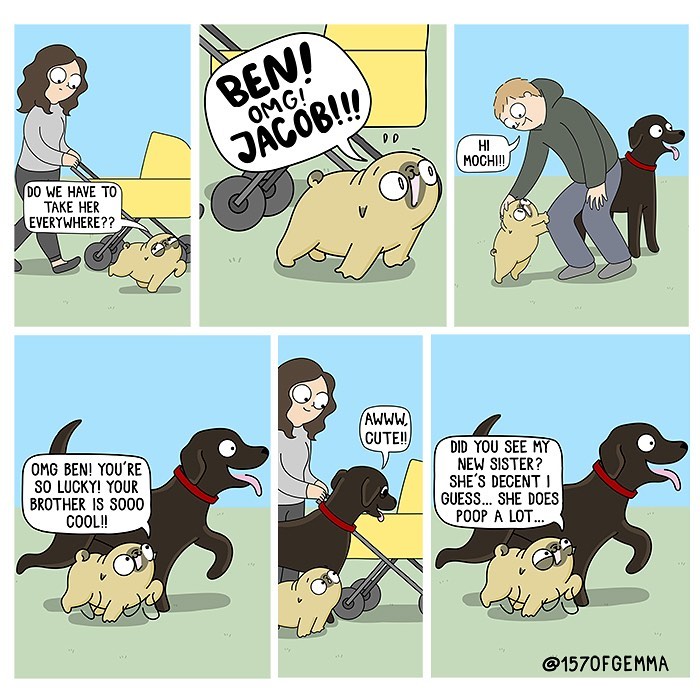 If You Love Dogs, You Will Love These Comics (New Pics)