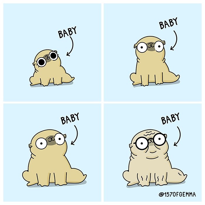 If You Love Dogs, You Will Love These Comics (New Pics)