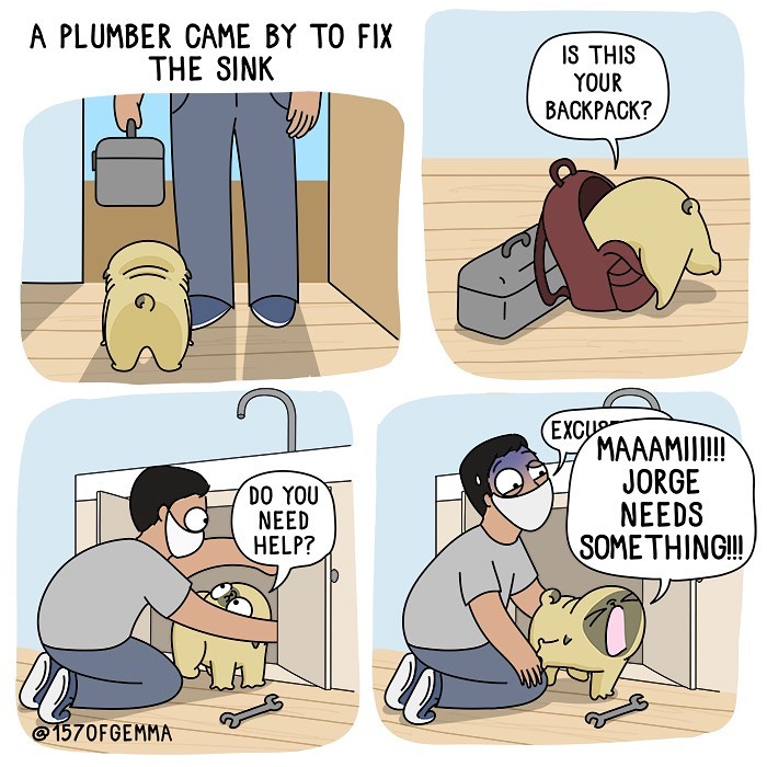 If You Love Dogs, You Will Love These Comics (New Pics)