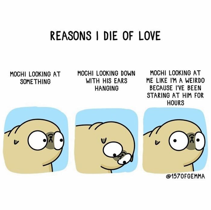 If You Love Dogs, You Will Love These Comics (New Pics)