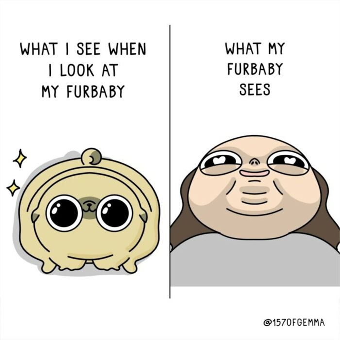 If You Love Dogs, You Will Love These Comics (New Pics)