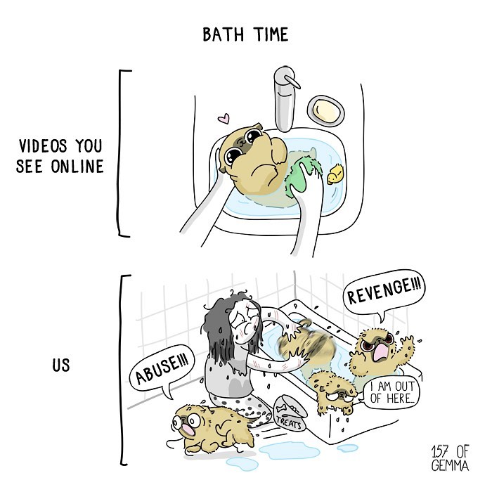 If You Love Dogs, You Will Love These Comics (New Pics)