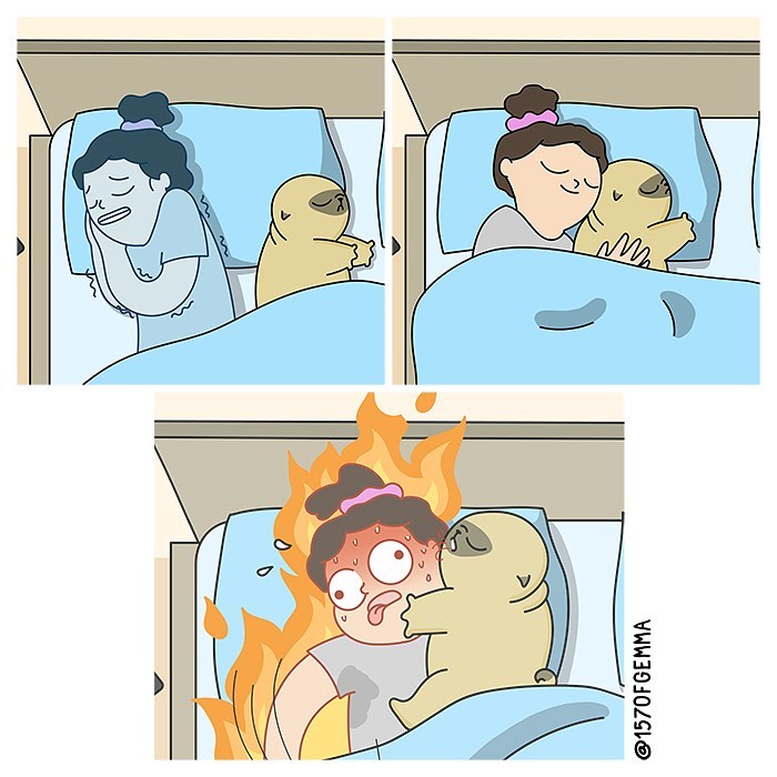 If You Love Dogs, You Will Love These Comics (New Pics)