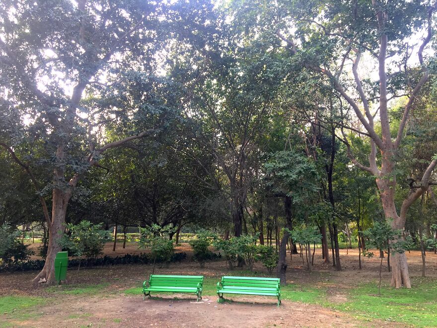 I Went To Explore Lodhi Garden And Took These Pictures (10 Pics)