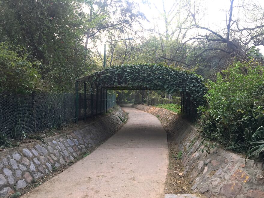 I Went To Explore Lodhi Garden And Took These Pictures (10 Pics)