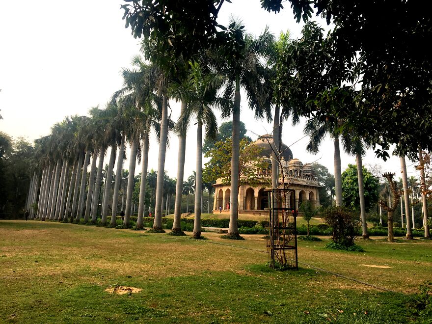 I Went To Explore Lodhi Garden And Took These Pictures (10 Pics)
