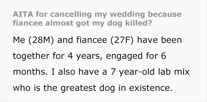 Man Gets Furious After Fiancée’s Carelessness Gets His Dog Sick, Cancels The Wedding Man Gets Furious After Fiancée’s Carelessness Gets His Dog Sick, Cancels The Wedding
