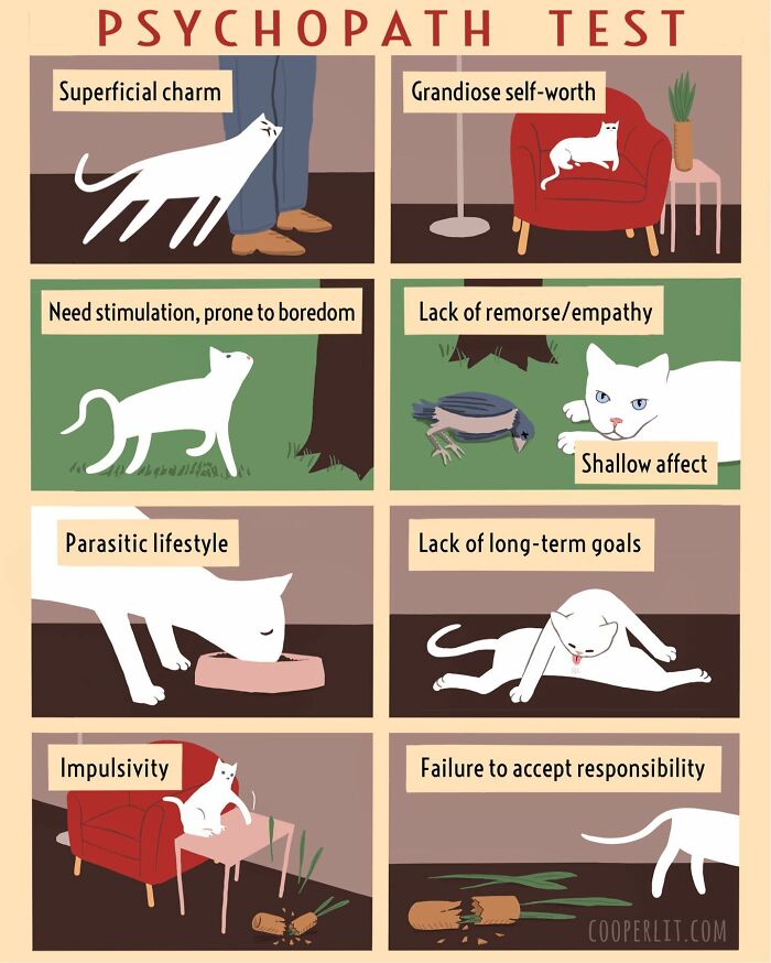 Meet Cooper Lit's Universe In His Strong And Ironic Comics