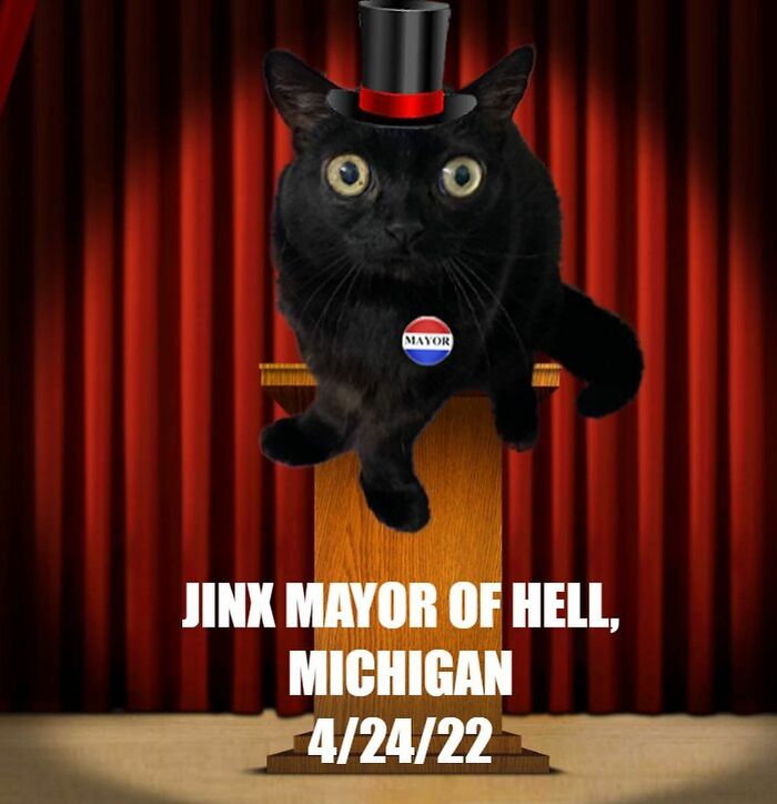 Black Cat With Huge Eyes And Paws Named Mayor Of Town Called Hell