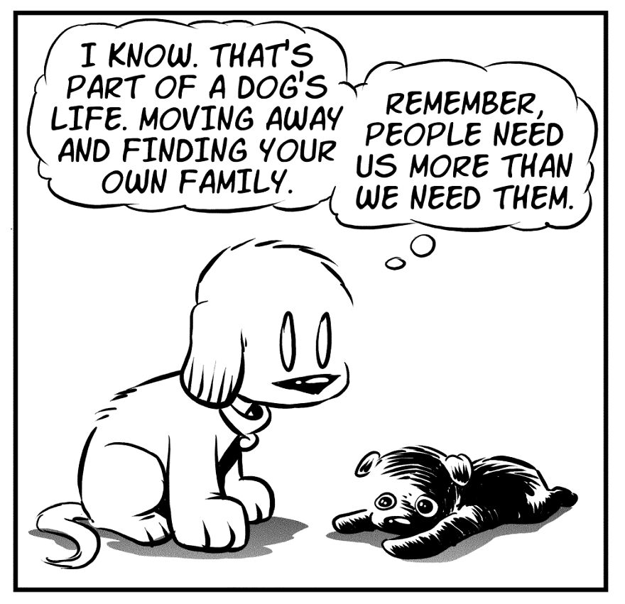 My Comics About My Scaredy Cat Rescue Dogs