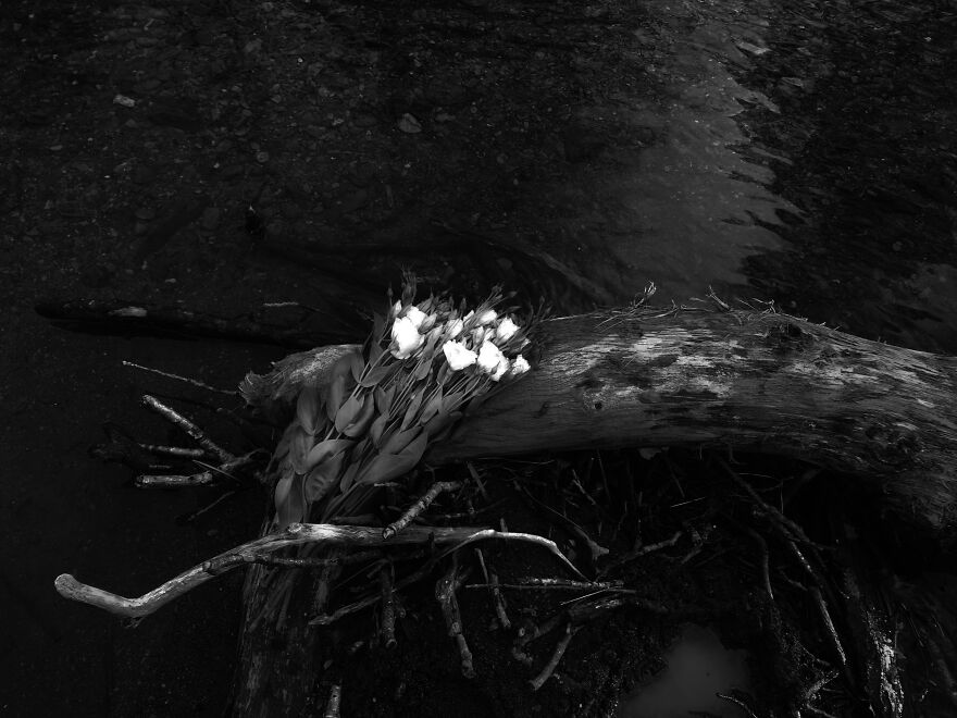 My Photography Project Called Nostalgia