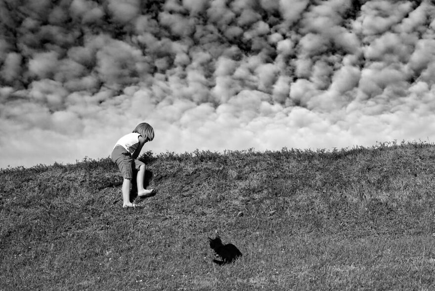 My Son And Our Cat Are Best Friends Who Do Everything Together (12 Pics)