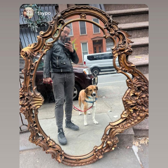 The Incredible Stooping Success