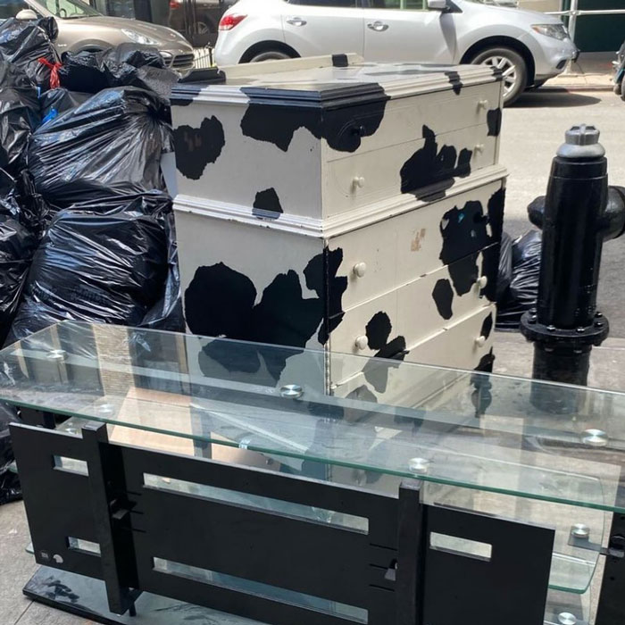 Forget The Glass Thing. We Want The Cow Dresser. In Front Of 111 Lawrence