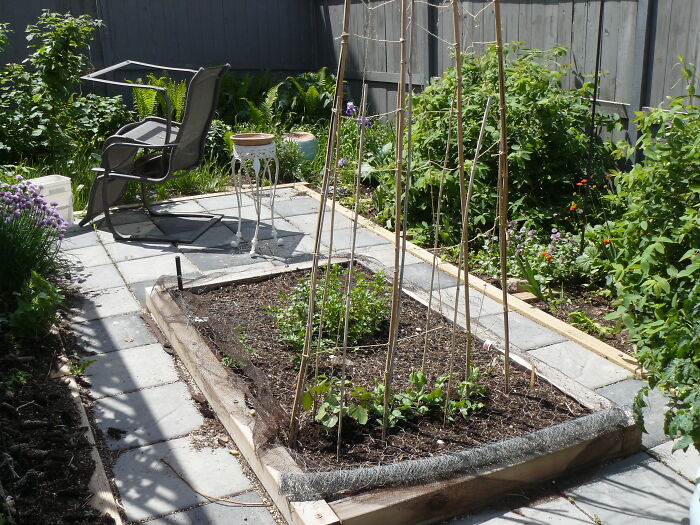 Late May Last Year In My Tiny Yard.