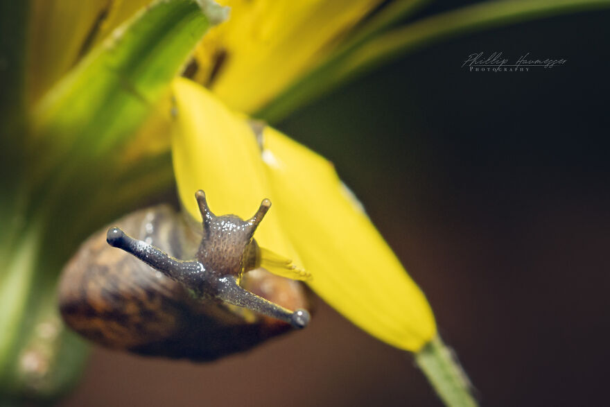 16 Photos Taken With My Homemade Macro Lens, And How To Make Your Own 16 Photos Taken With My Homemade Macro Lens, And How To Make Your Own