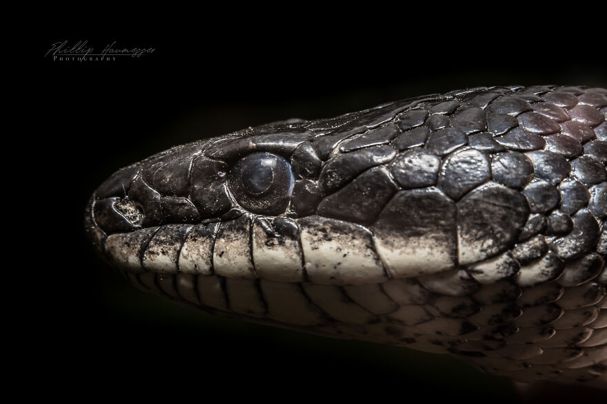 16 Photos Taken With My Homemade Macro Lens, And How To Make Your Own 16 Photos Taken With My Homemade Macro Lens, And How To Make Your Own