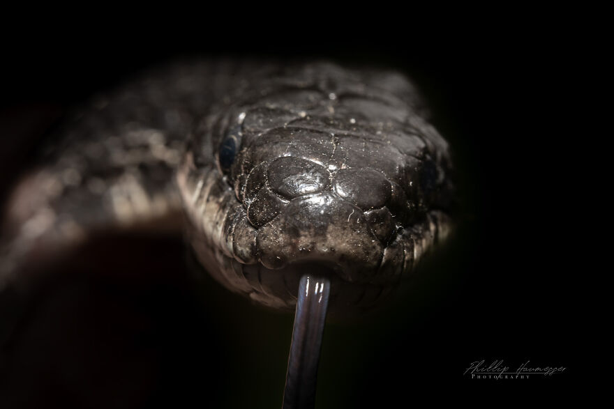 16 Photos Taken With My Homemade Macro Lens, And How To Make Your Own 16 Photos Taken With My Homemade Macro Lens, And How To Make Your Own