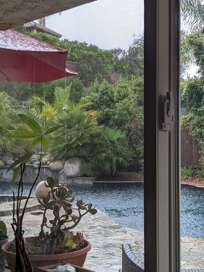 Not Right Now, But A Recent Photo I Captured That I Just Have To Share.