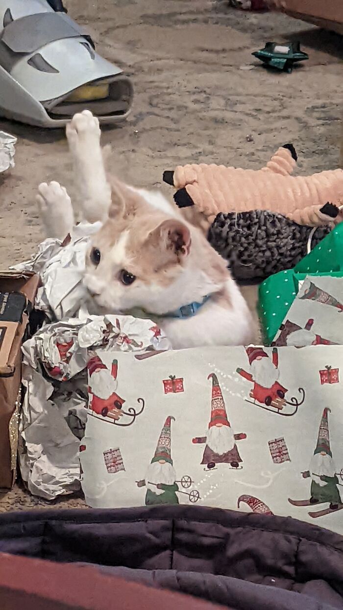 King Xerxes' First Christmas