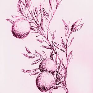 katkatkatrocks avatar