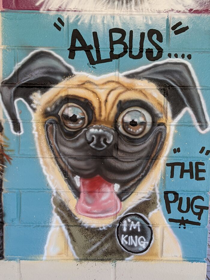 I Was Commissioned To Do The Largest Dog Caricature Mural For The City Of Bayswater, Australia (8 Pics) I Was Commissioned To Do The Largest Dog Caricature Mural For The City Of Bayswater, Australia (8 Pics)