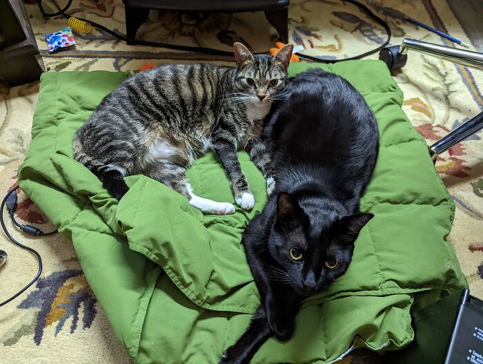 Brother And Sister 💗