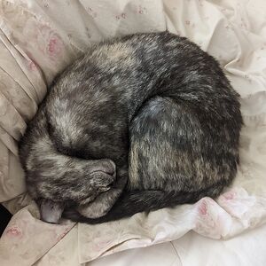 brittanymichael avatar